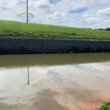Jacarés roubam a cena no Parque Ecológico da Pampulha - Ana Cláudia Parreiras