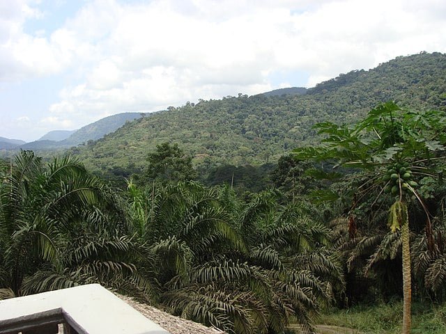 A capital Malabo é a cidade mais antiga. Outra atração é o Parque Nacional Monte Alén (foto), criado em 1990,onde vivem espécies , como o sapo golias, o maior sapo do mundo. 