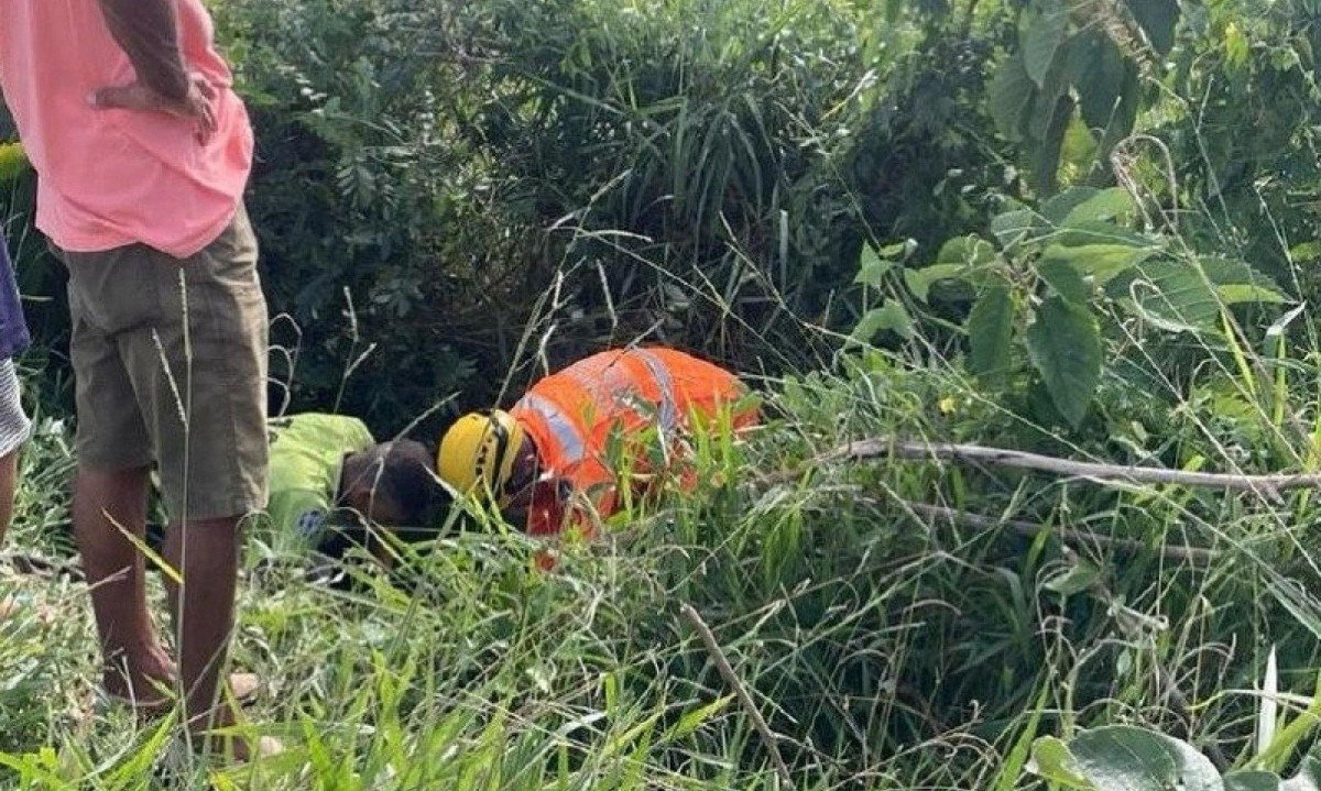 Idoso foi encontrado dentro de vala em uma &aacute;rea de mata da cidade de Machado, no Sul de Minas -  (crédito: CBMMG/Divulga&ccedil;&atilde;o)