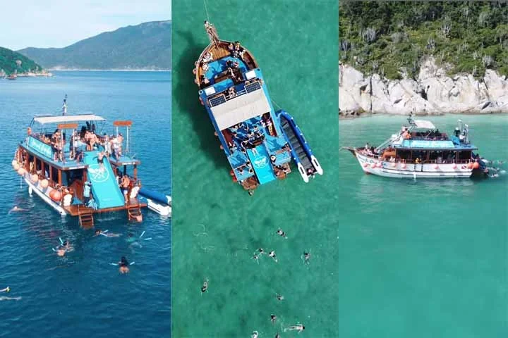 Durante o trajeto, Ã© comum avistar golfinhos e, com sorte, atÃ© orcas. Algumas embarcaÃ§Ãµes oferecem serviÃ§o de bordo com petiscos e bebidas, tornando a experiÃªncia ainda mais especial.