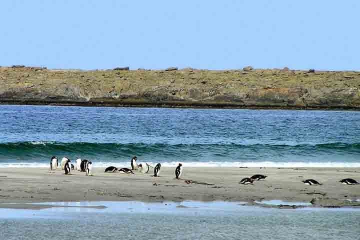 A área é especialmente famosa por suas colônias de pinguins-rei, além de uma paisagem deslumbrante de dunas e praias intocadas.