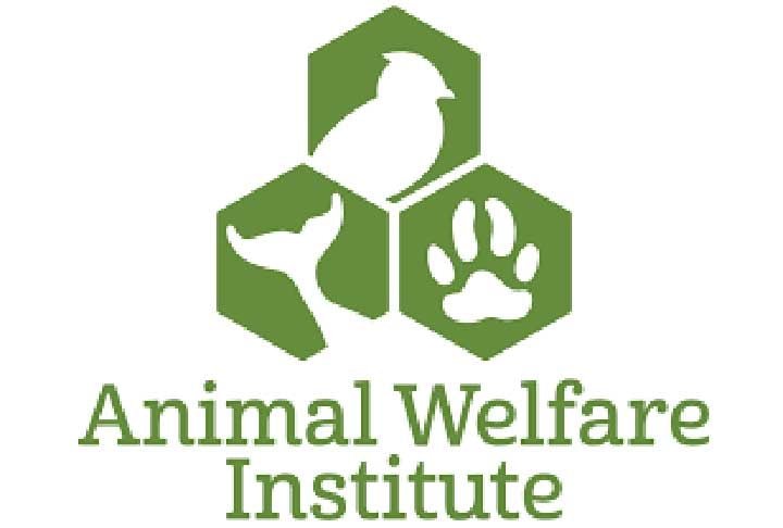 Os animais foram encontrados em uma fazenda abandonada na Carolina do Sul no começo do ano. Morgan celebrou o resgate: "Fico feliz em levá-los e mantê-los juntos em nossa fazenda. Eles seriam uma adição bem-vinda ao nosso zoológico de criaturas felizes".