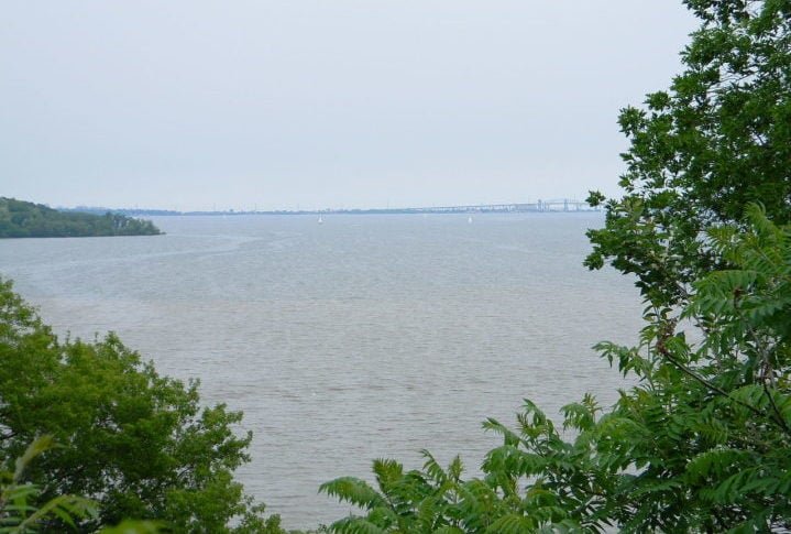 A pesquisadora e seus colegas têm monitorado carpas douradas invasoras no Porto de Hamilton, localizado na ponta oeste do Lago Ontário, região próxima de Toronto. O Lago Ontário foi duramente afetado pelo crescimento industrial e urbano, além de ser impactado por espécies invasoras.