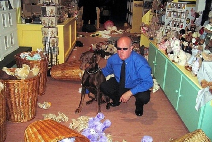 O cão - Barney - e o segurança noturno Greg West trabalhavam juntos havia seis anos e, aparentemente, o ataque de fúria do doberman foi causado por ciúmes em relação aos ursinhos de pelúcia.