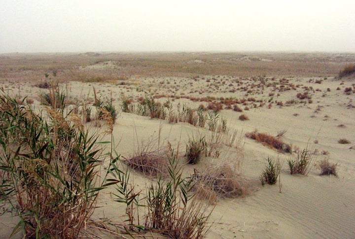 Uma região de deserto é definida como uma área onde se evapora mais água do que é reposto pela chuva. Por isso, as maiores regiões desérticas estão sobre os oceanos, onde o volume de água evaporada é muito maior do que o volume de chuva. O portal de meteorologia Climatempo explica alguns tipos de deserto e o motivo de sua existência. 