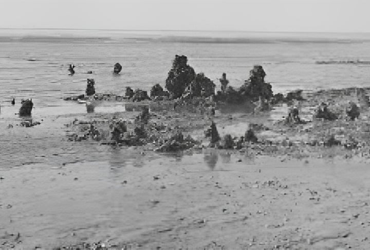 Agora, ruínas de Rungholt foram descobertas a partir de análises geofísicas feitas pelos arqueólogos.
