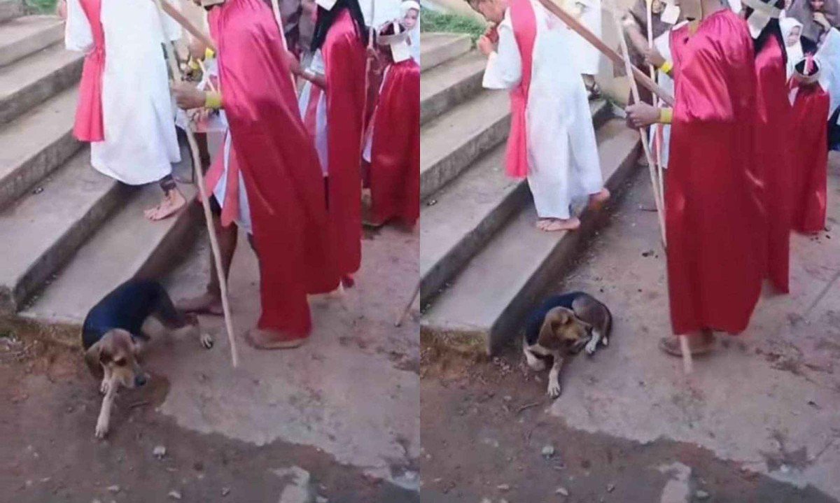 Homem que encena um soldado romano chuta cachorro em Minas Gerais -  (crédito: Junior Nunes)