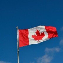 Avanço da eutanásia no Canadá gera debate acalorado sobre o tema - ElasticComputeFarm/Pixabay