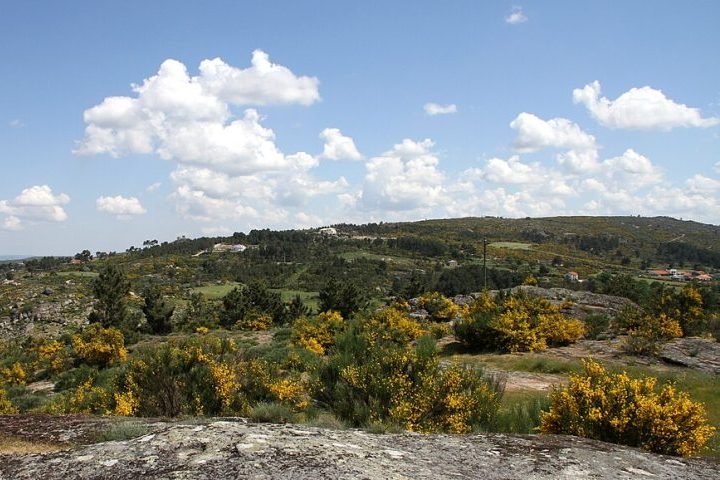Ao longo do ano, a paisagem muda drasticamente, indo de vastos campos verdes e floridos na primavera a cenários brancos e gelados no inverno, oferecendo experiências muito distintas para os visitantes.