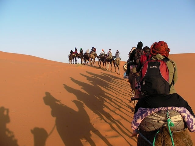 3º Deserto do Saara (9.100.100 km²) - Maior deserto quente do mundo, com imagem típica do que as pessoas veem como deserto, seco e arenoso. O Saara abrange 11 países: Marrocos, Argélia, Tunísia, Líbia, Egito, Sudão, Chade, Níger, Mali, Mauritânia e Saara Ocidental.