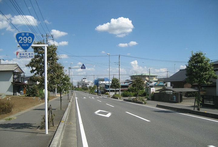 O colégio Jiyuu no Mori ("Bosque da Liberdade"), que fica na cidade de Hanno (Província de Saitama), tem o samba como disciplina desde 1998.