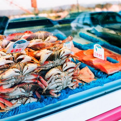   Peixes e mariscos: Os peixes (boa fonte de proteÃ­na, vitaminas e minerais) e frutos do mar (ricos em proteÃ­nas, vitaminas A, B e C, zinco, sais minerais e cÃ¡lcio) sÃ£o utilizados para a preparaÃ§Ã£o de pratos que nutrem e energizam.  