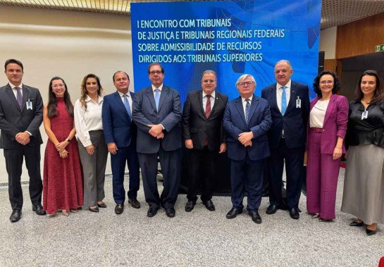 PRESIDENTE E VICE DO STJ RECEBEM MAGISTRADOS MINEIROS