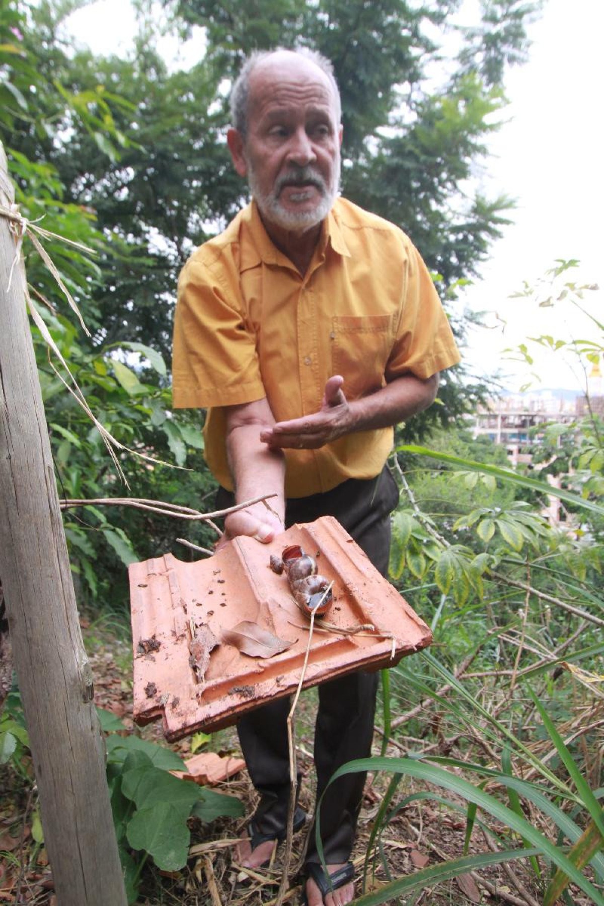 Jovaci Alexandre de Campos, morador que sofre com a infestação - Edesio Ferreira/EM/D.A - Press -Brasil
