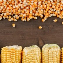 Dia Internacional do Milho: um alimento versátil e essencial - 8photo/ FreePik