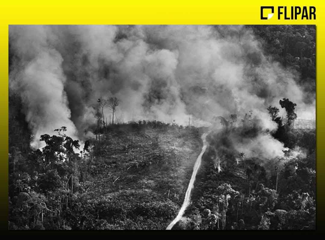 Por meio do Instituto Terra, associação civil sem fundos lucrativos, Sebastião Salgado e a mulher Lélia promovem há mais de duas décadas ações voltadas à preservação do meio-ambiente. 

