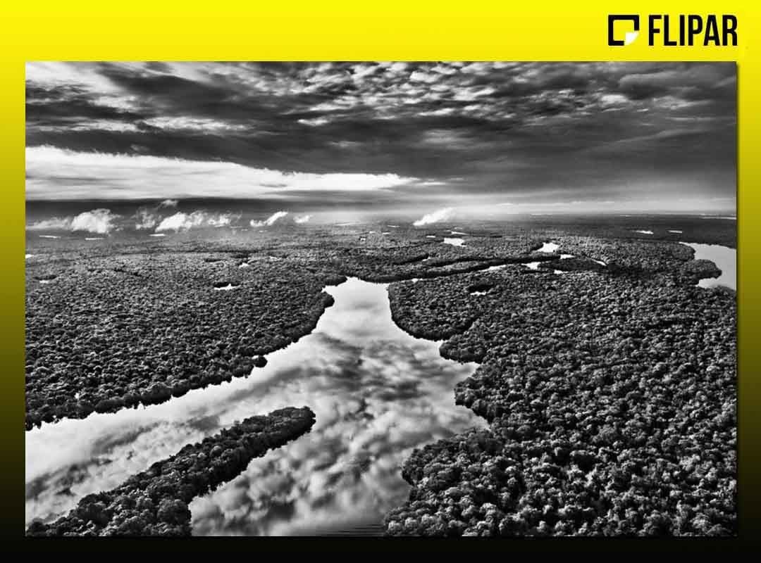 "É um momento forte para apresentar esse trabalho. Precisamos lutar para preservar se ainda quisermos existir como espécie. Caso contrário, vamos desaparecer", alerta Salgado. 