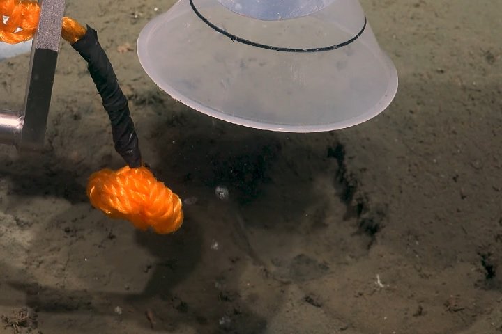 No fundo do mar, saem bolhas de metano por rachaduras. Esse gás serve de alimento para bactérias especiais que usam um processo chamado quimiossíntese. 