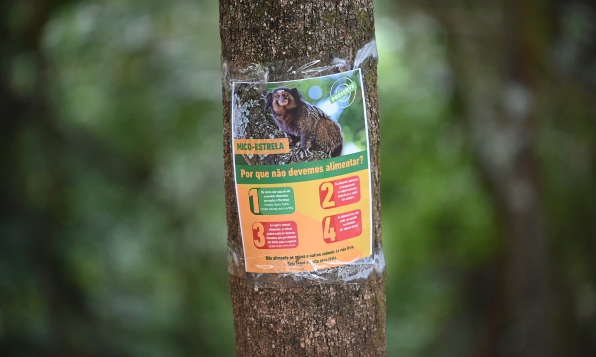 Parque das Mangabeiras vai reforçar campanha "Não Alimente os Animais" depois da confirmação da morte de três micos -  (crédito: Leandro Couri/EM/D. A  Press)