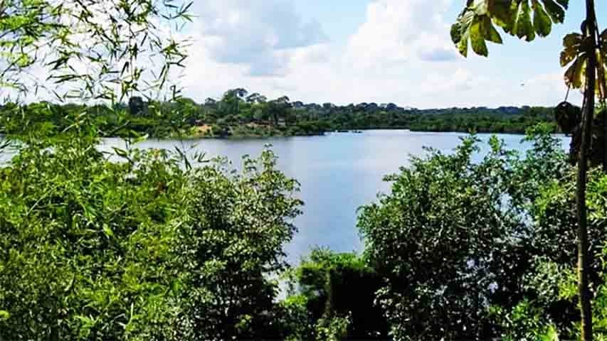 Lagos ajudam a filtrar sedimentos e poluentes, funcionando como uma espÃ©cie de â??rimâ? do ambiente. Eles retÃªm nutrientes, metais pesados e outros resÃ­duos antes que cheguem a rios ou ao mar.