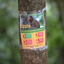 Morte de micos: Zoobotânica reforça campanha "Não dê comida aos animais" - Leandro Couri/EM/D. A  Press