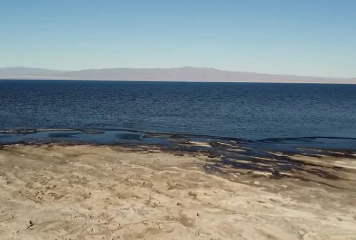 Diante disso, a Autoridade do Mar de Salton fez um alerta: se as aÃ§Ãµes para enfrentar esses problemas nÃ£o forem reforÃ§adas, a regiÃ£o pode ficar "inabitÃ¡vel", tanto para pessoas quanto para animais.
