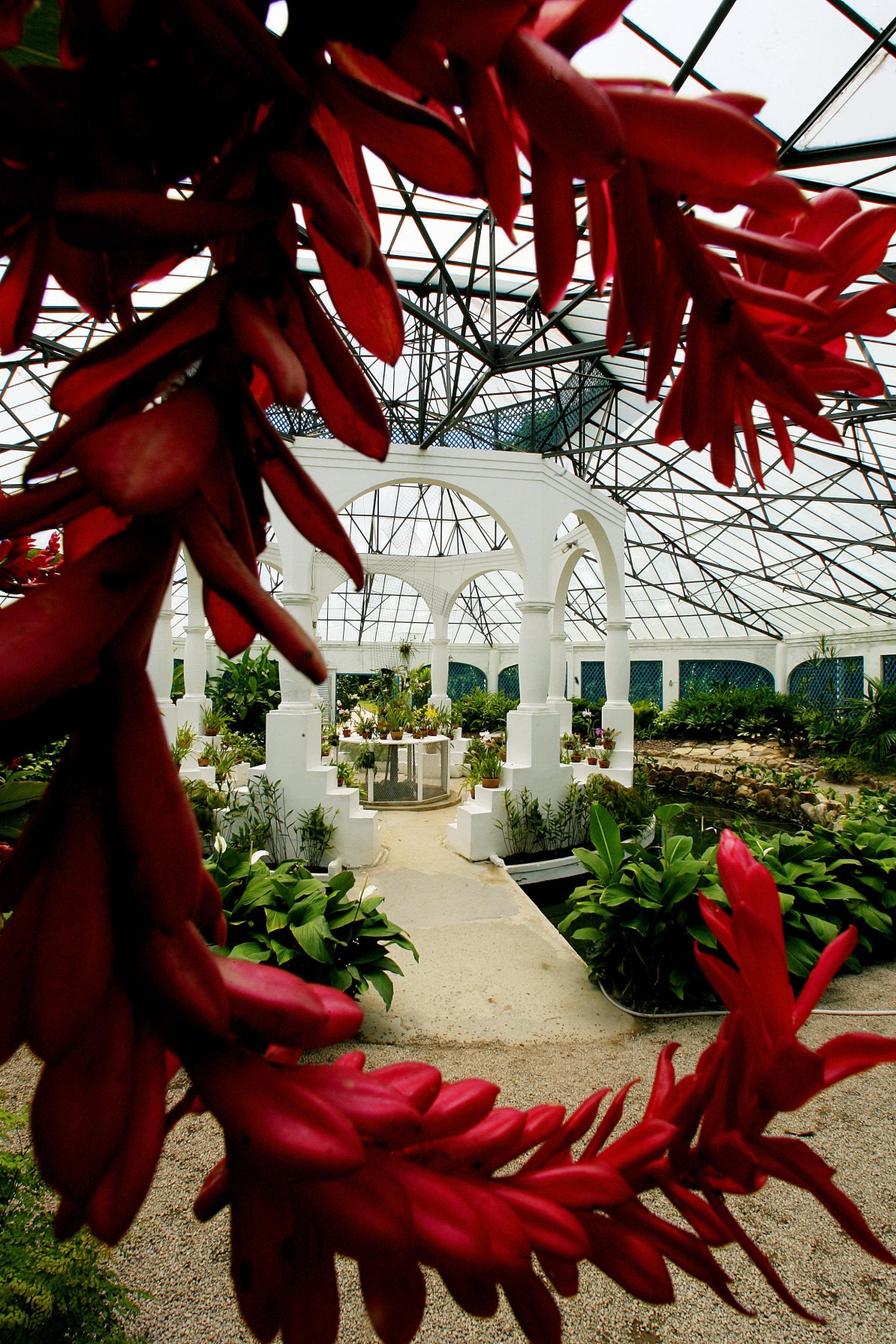 Jardim Botânico, onde Dom João VI jardinou o Rio