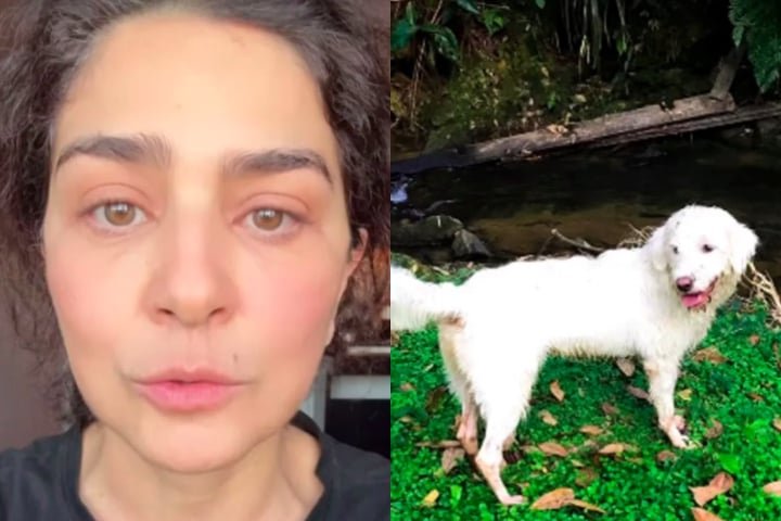 Os animais estavam sob os cuidados temporários de Adriene Firmo, uma veterinária e amiga de Sabatella, no sítio da atriz que fica em Cachoeiras de Macacu (RJ).