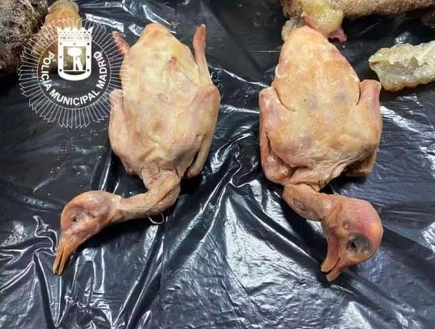 Um dos policiais contou Ã  imprensa que o cheiro era "quase insuportÃ¡vel" e lembrava "frutos do mar podres".