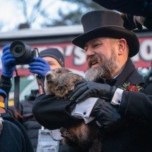 Marmota, grilo, sapo:  animais atraem curiosidade por ‘prever’ o tempo - flickr Anthony Quintano