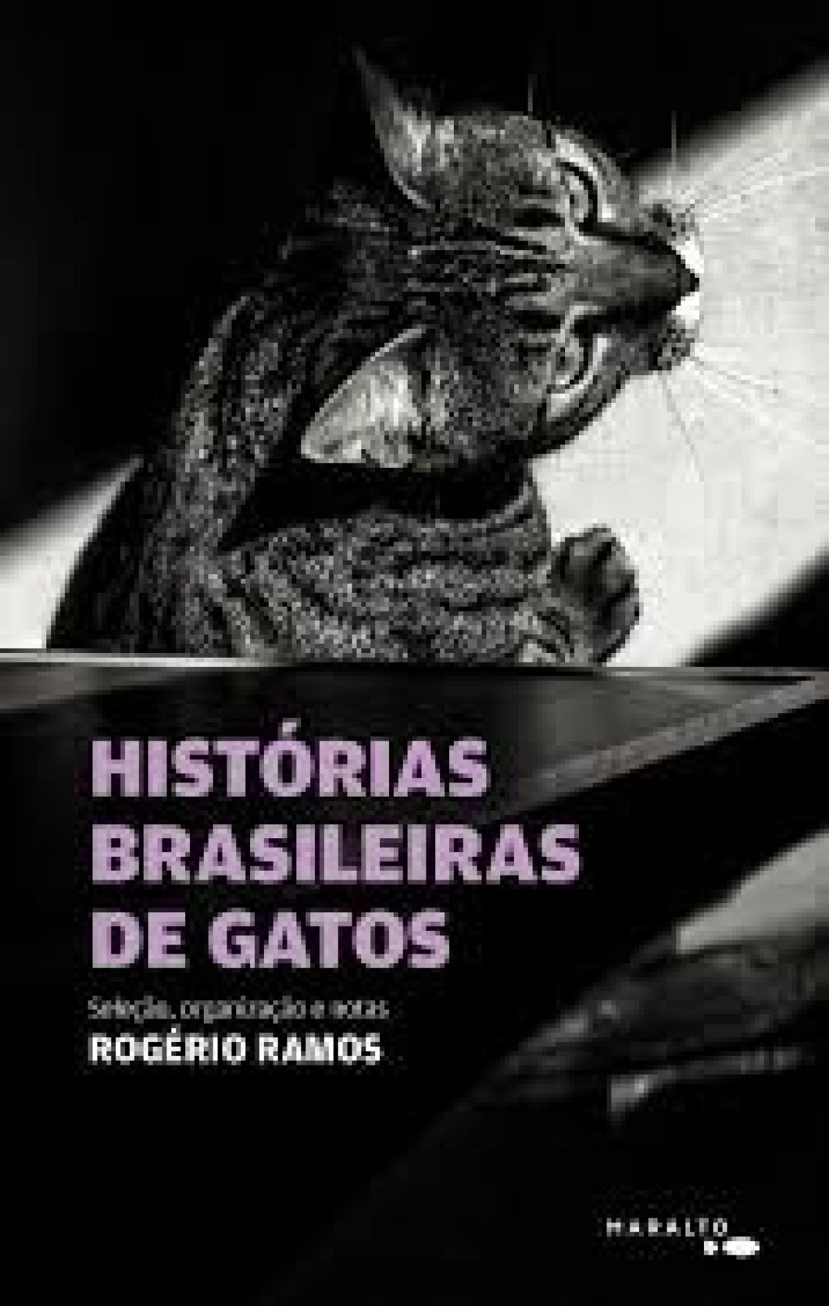 "HISTÓRIAS BRASILEIRAS DE GATOS"