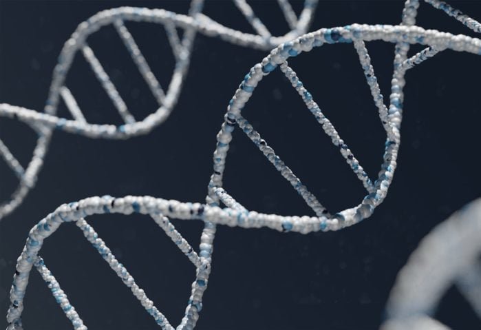 De acordo com reportagem da revista “Time”, a recriação do lobo-terrível pela empresa americana de biotecnologia não se deu pela reprodução total do DNA da espécie.
