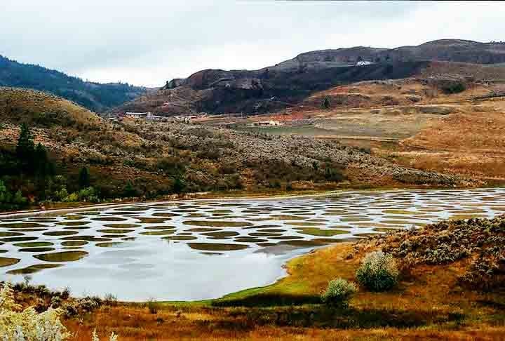 Quando a água evapora, esses minerais cristalizam e formam manchas circulares de diferentes cores, dependendo do tipo e da concentração do mineral presente.