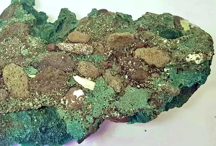 "E foi curioso, porque eu não fazia ideia do que se tratava. Após fazer as coletas dos detritos plásticos na ilha, trouxe para o Laboratório de Estudos Costeiros da UFPR", acrescentou a geóloga, que teve apoio de uma equipe multidisciplinar da USP e da UFRGS.