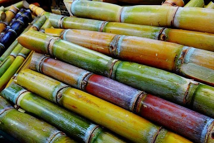 A sacarose, extraída e purificada em fábricas especializadas, é utilizada como matéria-prima na indústria de alimentos humanos ou é fermentada para produzir etanol. Algo que é produzido em escala pela indústria da cana do Brasil. 