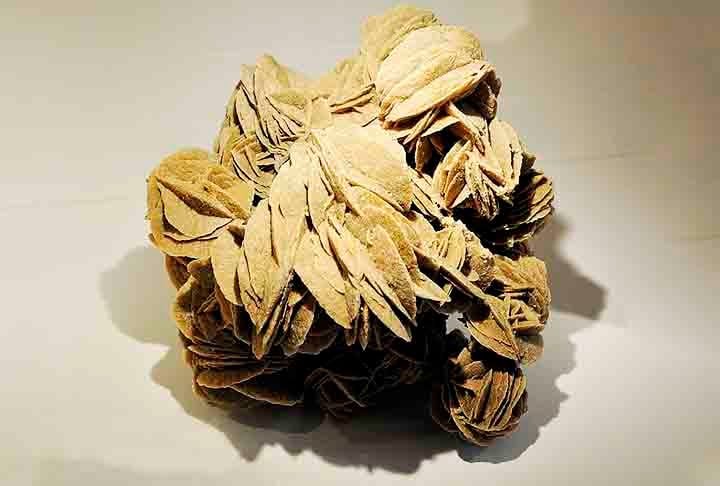 Rosa do deserto: Esse é um fenômeno geológico fascinante que se refere a formações minerais em forma de rosetas que ocorrem em desertos.