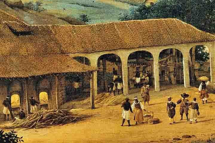 Na atualidade, o Brasil é o maior produtor de cana-de-açúcar do mundo. Afinal, o ciclo desse alimento no país foi um período que se estendeu do século XVI ao século XVIII. 