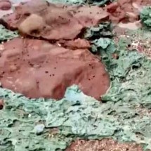 ‘Rochas de plástico’ impressionam na Ilha da Trindade - Youtube Canal CAPES_Oficial
