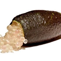 Fruta dos aborígenes australianos conquista a alta gastronomia e custa caro no Brasil - Amada44  wikimedia commons
