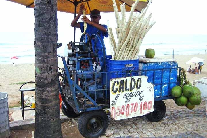 Na sequência, o perfilhamento é o processo de emissão de colmos por uma mesma planta, que resulta no crescimento de brotos que vão em direção à superfície do solo. Quando os colmos crescem, o canavial pode atingir altura acima de três metros.