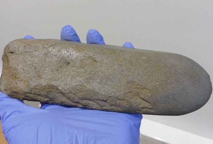 "Muitas perguntas sobre Tainiaro permanecem sem resposta. Por enquanto, porém, a noção de que parece ter existido um grande cemitério perto do Círculo Polar Ártico deveria levar-nos a reconsiderar as nossas impressões sobre o Norte e o seu lugar periférico na pré-história mundial.", trecho do artigo.