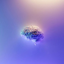 Neurocientistas revelam ‘magia’ de obra de arte que fixa o olhar do público - Milad Fakurian Unsplash
