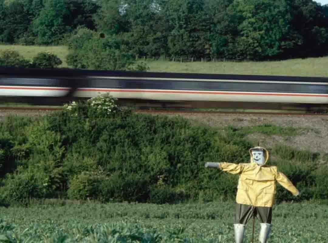 Espantalho sorridente em uma vasta plantação. 



