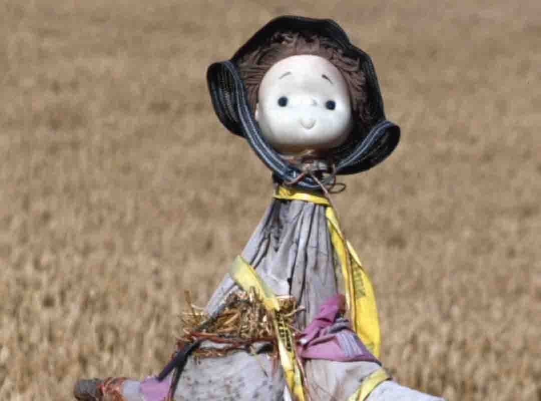 Um espantalho com ares bem jovens, de rosto angelical. Será que cumpre seu objetivo?
