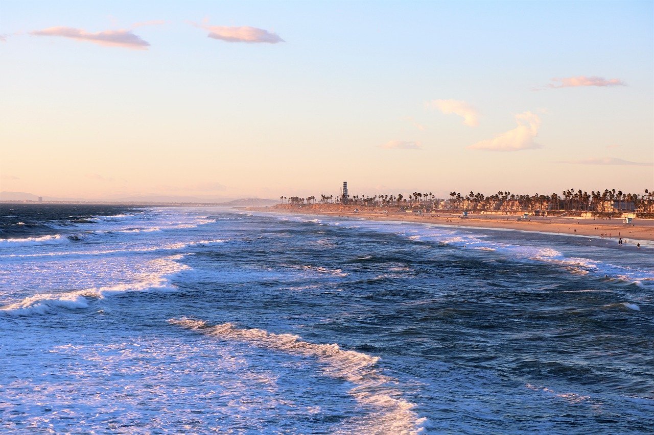 A cidade, conhecida por abrigar o parque Disney, tem 131 km² e 336 mil moradores. Tem um litoral bonito, com praias atraentes.  -Imagem de Wonita or Troy Janzen por Pixabay 