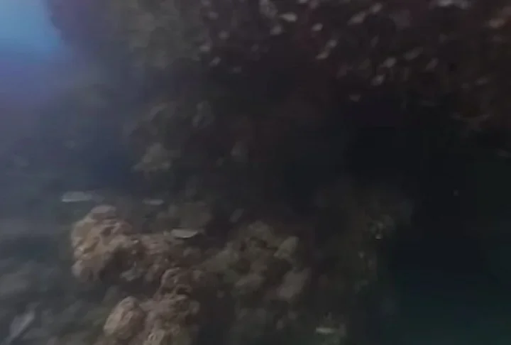 Dessa vez, o Cadastro Nacional de Informações Espeleológicas (Canie), do Instituto Chico Mendes de Conservação da Biodiversidade (ICMBio), registrou pela primeira vez cavernas desse tipo no Brasil.