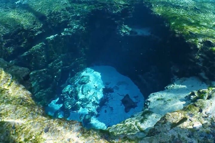 "Devil’s Cave System" ("Sistema de Cavernas do Caverna do Diabo"), Flórida, EUA: Este extenso sistema de cavernas subterrâneas é conhecido por suas formações rochosas impressionantes e pela rica biodiversidade. 