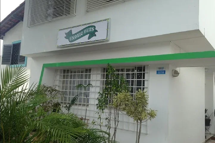 O louva-a-deus chamado de Karla foi levado pelo dono até a clínica veterinária Exotic Pets, em São Paulo, especializada no tratamento de animais não convencionais. 