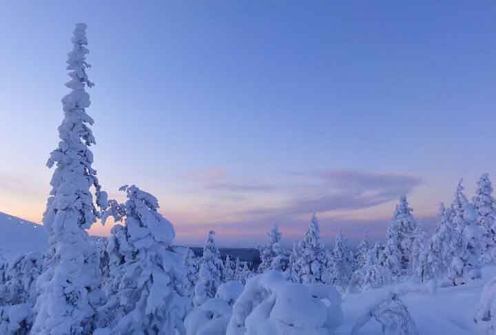 No território, 45% são constituídos por uma imensa ilha, além de partes continentais situadas no extremo norte onde se encontram áreas territoriais pertencentes aos Estados Unidos, Canadá, Noruega, Suécia, Finlândia e Rússia.