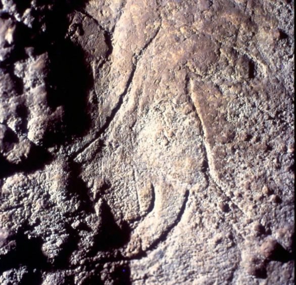 Os desenhos, sobrepostos por marcas de arranhões de ursos-das-cavernas, sugerem que podem ter mais de 24 mil anos!
